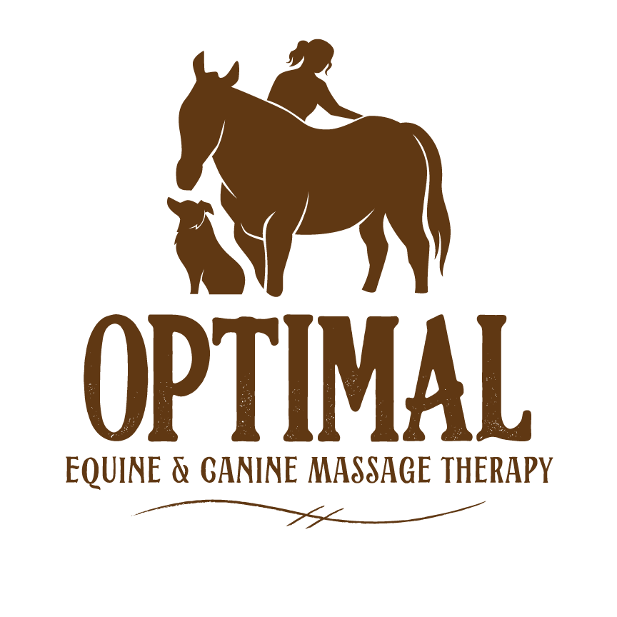 Optimal Equine Massage Therapy, LLC